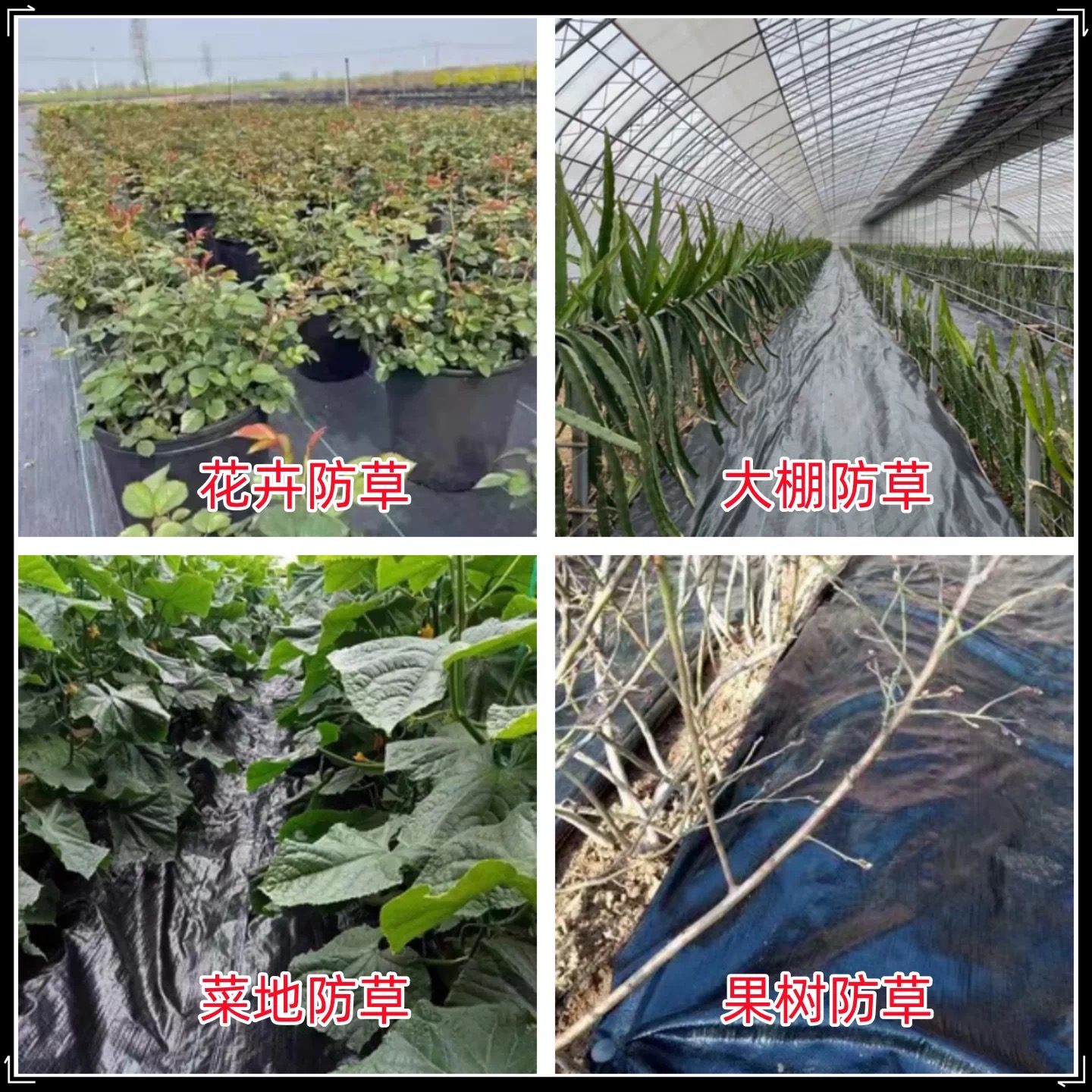 益广塑业有限公司（大庆市办事处）